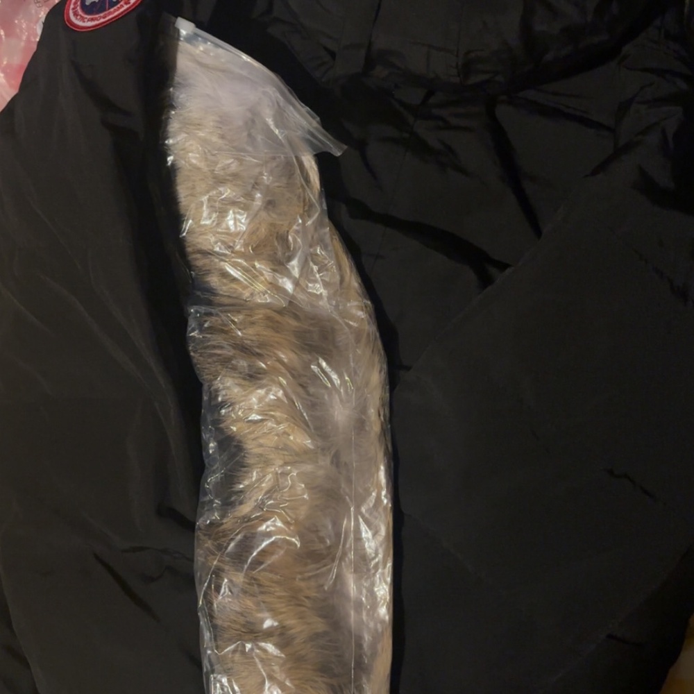 Coat - Picture 2 of 5